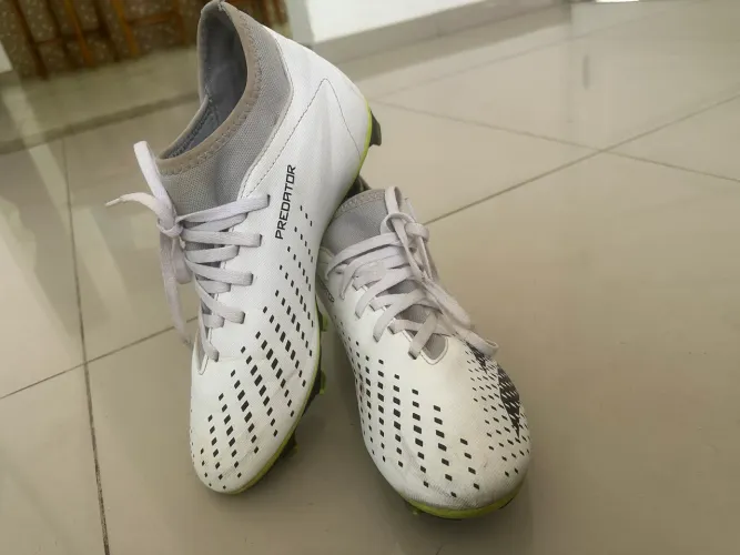 Chuteira Campo Adidas Predator 