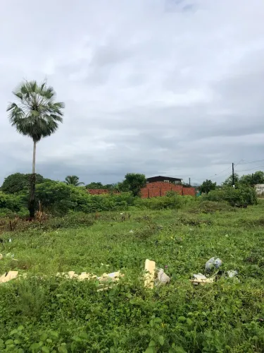 Lotes De 4X17,60 No Bairro Granja Lisboa, Por Apenas R$ 15 Mil, Possui Contrato, Aceita Ca