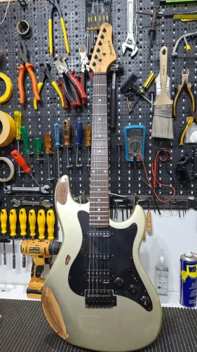 Guitarra Strinberg Já Regulada