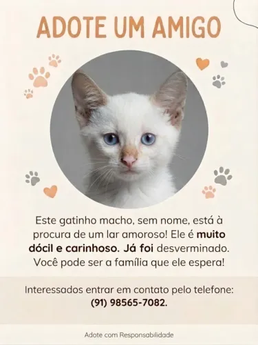 Doação 