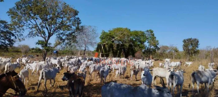 Fazenda à venda, 11567600 m² por R$ 20.315.000,00 - Zona Rural - Lagoa do Tocantins/TO