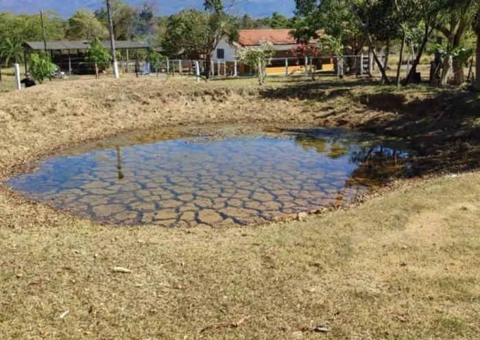Fazenda com Dupla Aptidão à Venda em Formosa GO | Vale do Paranã
