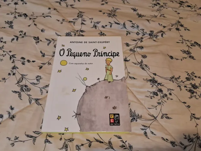 O pequeno príncipe
