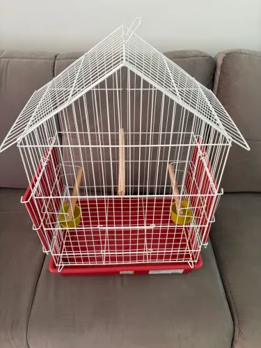 Gaiola para calopsita e pássaros em geral. Novíssima