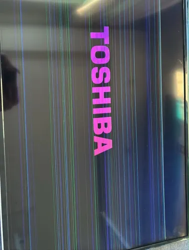 Televisão