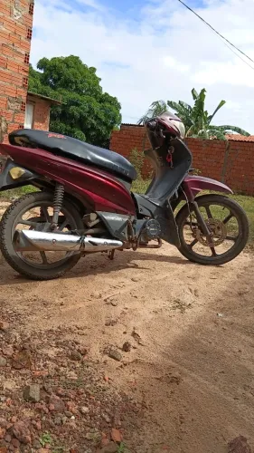 Moto boa