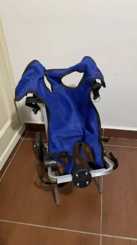 Cadeira 2 Rodas Cachorro Tam M Roupa Traseira Deficiente Cor Azul