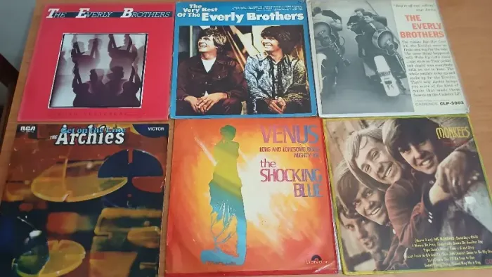 Lote de LPs Vinil variados XII