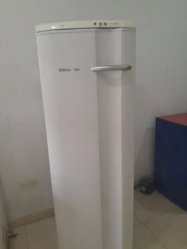 Freezer vertical
