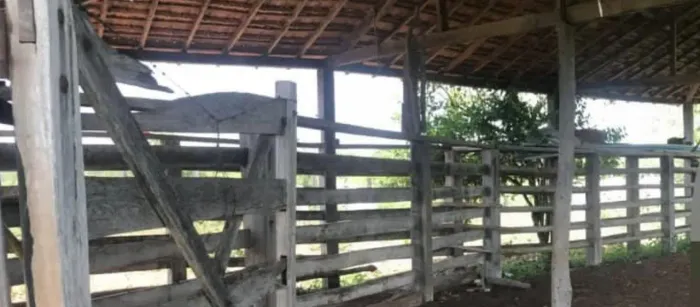 Fazenda Dupla Aptidão 784 Hectares /Aceita Imóvel e Veículo....