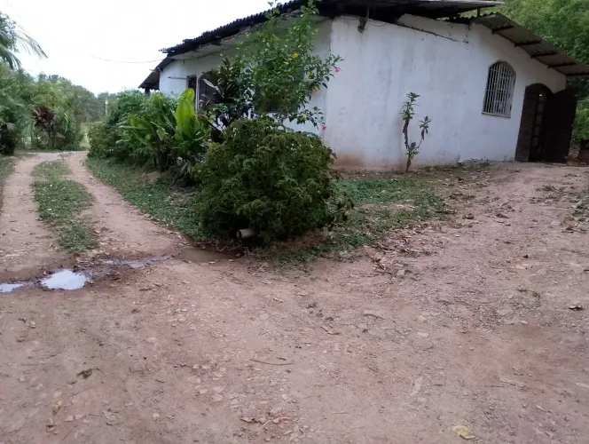 Chácara em Itanhaém terra boa para plantar