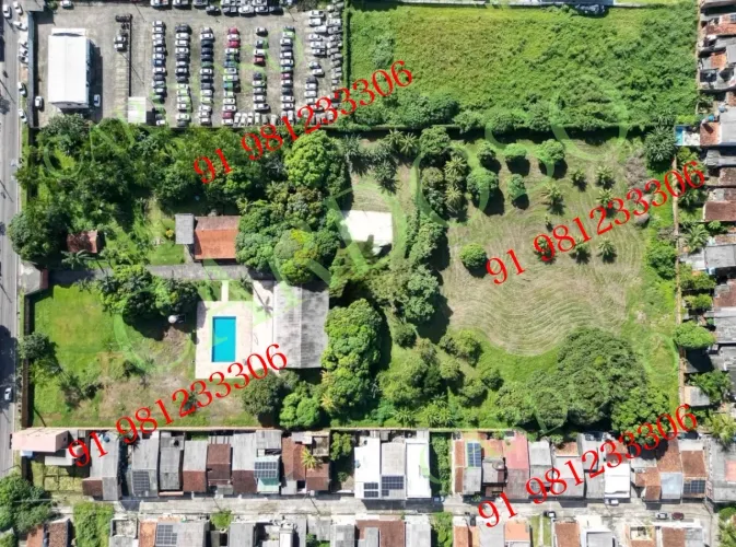 Vendo/Alugo terreno de 21.500 m2 em Belém / Parque Verde / Bengui