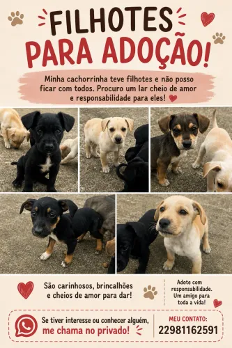Filhotes de cachorro 
