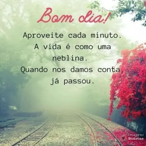 Filhote de pastor alemão capa preta disponível duas fêmeas com dois meses já vacinadas