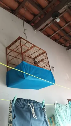 Gaiola com acessórios 