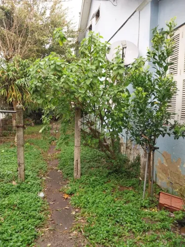 Terreno plano de esquina na Atanásio Belmonte com a José Scutari no bairro Boa Vista