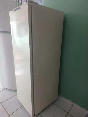 Geladeira degelo manual 230lts