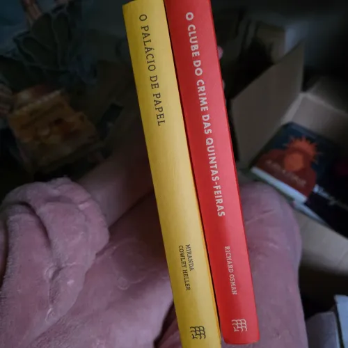 Coleção 8 livros Intrínsecos de acordo com as fotos. As Vitoriosas, a Influencer e etc