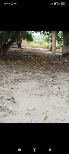 Excelente sítio 