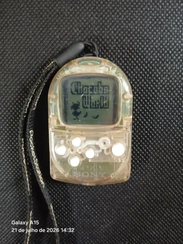 Pocket Station