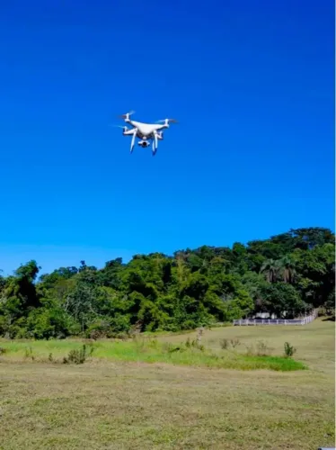 Drone DJI phantom 4 pro