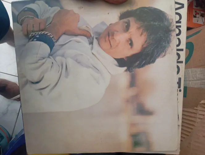 LP's (Discos de vinil) de vários artistas renomados
