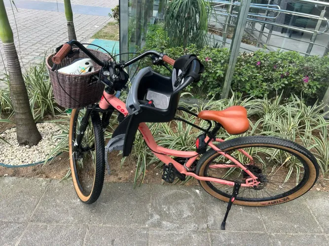 Bicicleta Colli Munique Aro 29 + Cesto e Cadeirinha Infantil