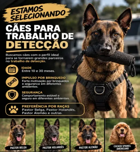 Seleção de cães 