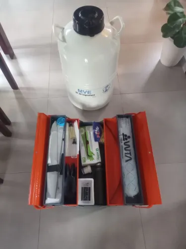 Botijão de inseminação 