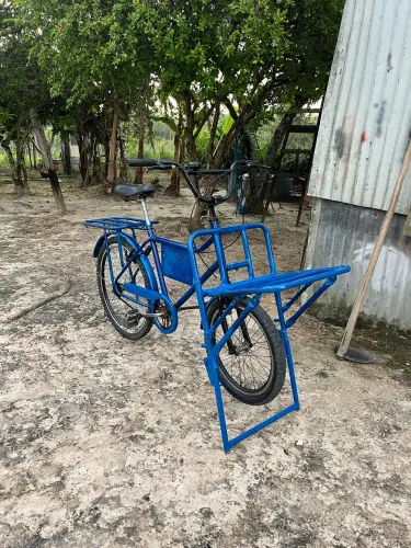 Bicicleta cargueira 