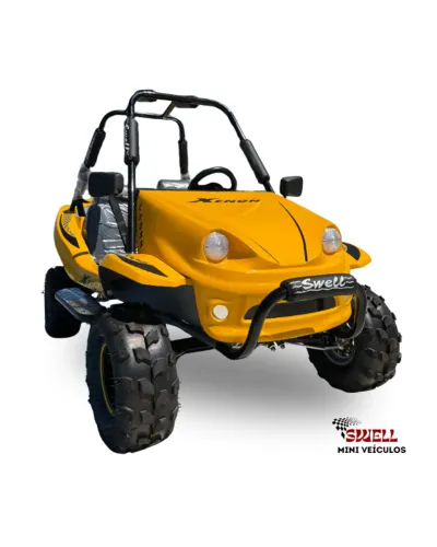 Mini Buggy