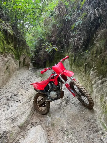 CRF 230 f ano 2015