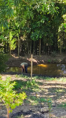 Venda chácara em Bonfim mg