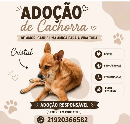 Adoção Cristal