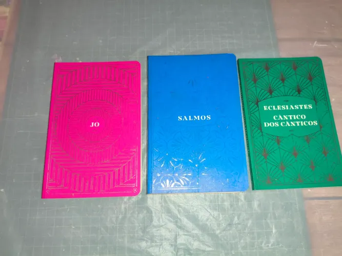 LIVROS DIVERSOS LEIA A DESCRIÇÃO.