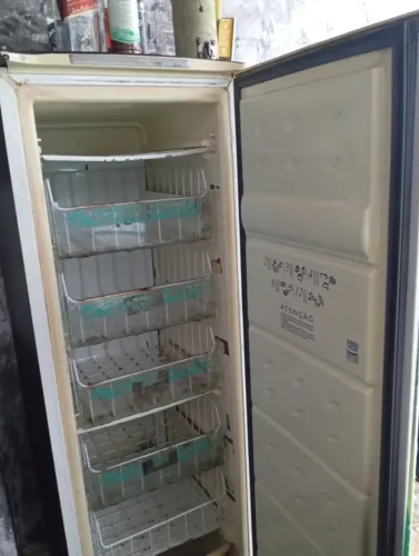 FREEZER VERTICAL CONSUL