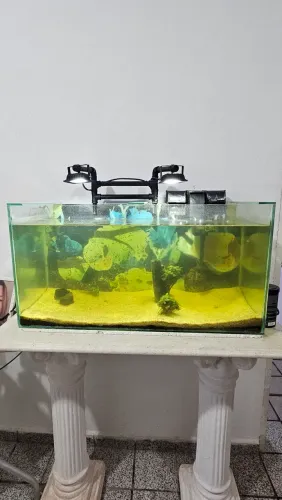 Aquário 115L