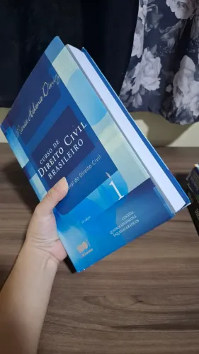 Direito Civil 1 - Maria Helena Diniz