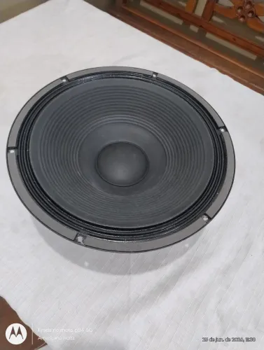 Alto falante 15 polegadas 100 watts RMS