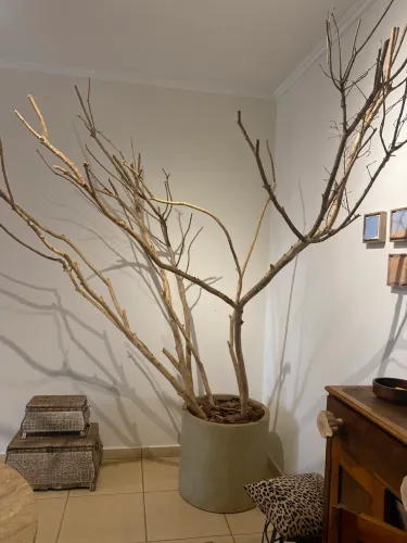 Escultura em galhos naturais tratados com cachepô 
