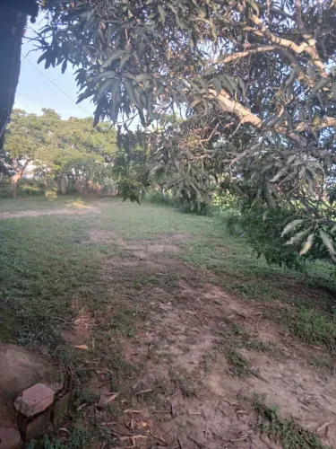 Sítio Em pernambuco