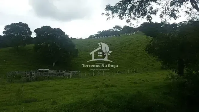 Fazenda em Carmo do Cajuru - MG - 125 hectares  - Fazenda com dupla aptidão  - Boa para pl