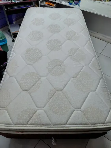 Cama Amsterdã solteirão