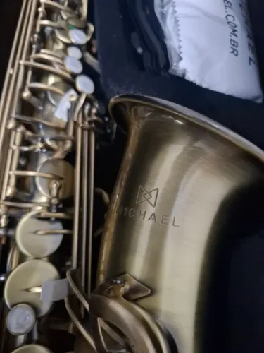 Saxofone Alto MICHAEL Instrumento novo