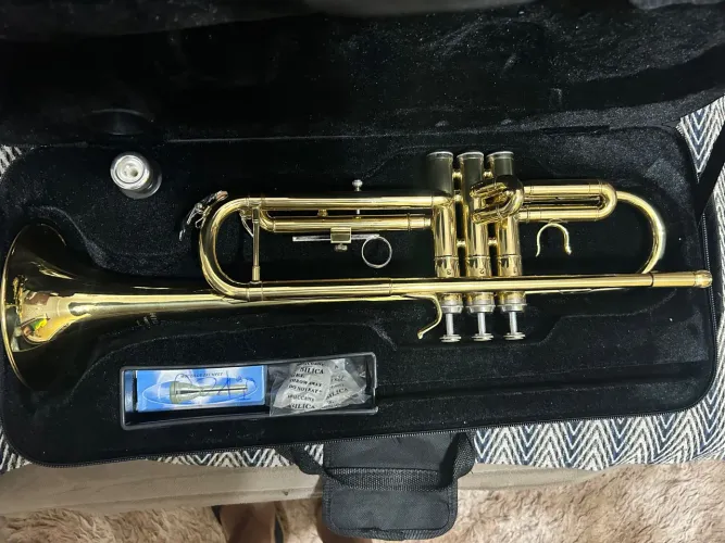 Trompete Michael WTRM30N Laqueado Dourado Bb (Si bemol)
