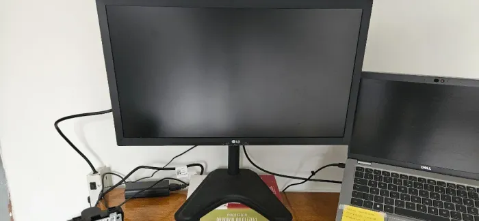 Monitor LG 22mk400h