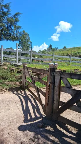 Procuro uma chácara para alugar.