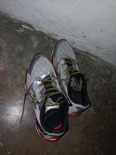 Vendo Mizuno pro 2 relíquia 