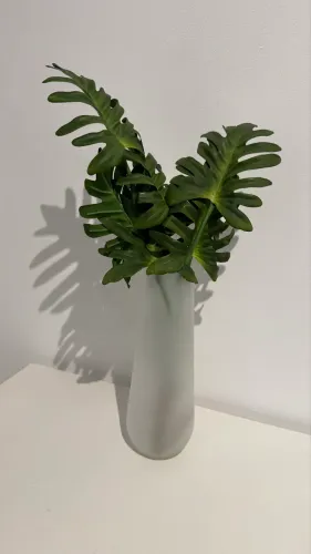 VASO DE VIDRO TOK STOK COM FOLHAGENS
