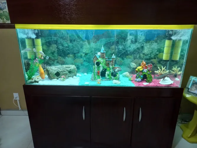 Aquário de 500 L com móvel completo, 2 bombas de oxigênio e limpeza e 2 luminárias de led 